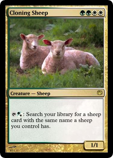 Cloning Sheep